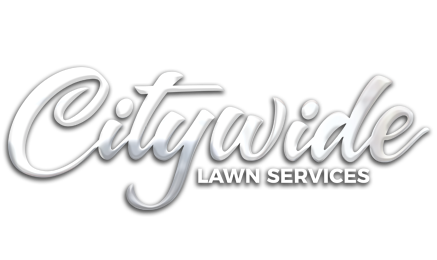 Citywide Lawn Service Landscaping, Citywide Landscape And Lawn Services Inc